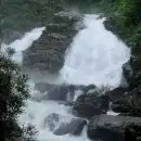 ആറളം മേഖലയിൽ മലവെള്ളപ്പാച്ചിൽ, ഉരുൾ പൊട്ടിയതായി സംശയം; 50ലധികം വീടുകളിൽ വെള്ളം കയറി