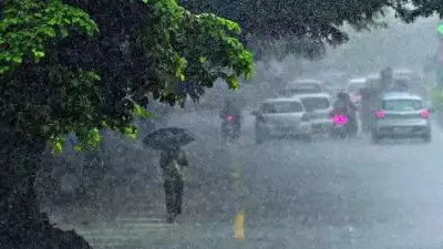 സംസ്ഥാനത്ത് ശക്തമായ മഴ തുടരും; ഇന്ന് 7 ജില്ലകളില്‍ ഓറഞ്ച് അലേര്‍ട്ട്