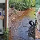 'രാജവെമ്പാല എങ്ങനെയാണ് പ്രതികരിക്കുക എന്ന അറിവുണ്ട്, ഇതിലും അക്രമകാരിയാണ് അണലി'; പേടിയുണ്ടെങ്കില്‍ ഈ പണി ചെയ്യാന്‍ പറ്റില്ലെന്ന് 'രാജനെ' കൂട്ടിലാക്കിയ ഫോറസ്റ്റ് ഓഫീസര്‍ റോഷ്‌നി