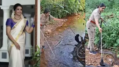 'രാജവെമ്പാല എങ്ങനെയാണ് പ്രതികരിക്കുക എന്ന അറിവുണ്ട്, ഇതിലും അക്രമകാരിയാണ് അണലി'; പേടിയുണ്ടെങ്കില്‍ ഈ പണി ചെയ്യാന്‍ പറ്റില്ലെന്ന് 'രാജനെ' കൂട്ടിലാക്കിയ ഫോറസ്റ്റ് ഓഫീസര്‍ റോഷ്‌നി