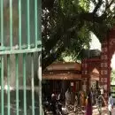 തിരുവനന്തപുരം മൃഗശാലയിൽ ജീവനക്കാരനെ കടുവയുടെ ആക്രമിച്ചു; തലക്ക് പരുക്ക്