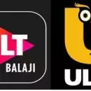 അശ്ലീല ഉള്ളടക്കം, 25 പ്ലാറ്റ്ഫോമുകൾക്ക് നിരോധനം ഏർപ്പെടുത്തി കേന്ദ്രസർക്കാർ