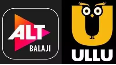 അശ്ലീല ഉള്ളടക്കം, 25 പ്ലാറ്റ്ഫോമുകൾക്ക് നിരോധനം ഏർപ്പെടുത്തി കേന്ദ്രസർക്കാർ