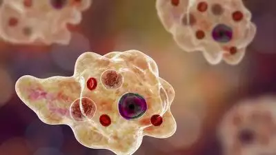 സംസ്ഥാനത്ത് ഒരാള്‍ക്ക് കൂടി അമീബിക് മസ്തിഷ്‌കജ്വരം സ്ഥിരീകരിച്ചു; കഴിഞ്ഞ രണ്ടു ദിവസത്തിനുള്ളില്‍ തിരുവനന്തപുരത്ത് മാത്രം ആറു കേസുകൾ