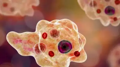 കോഴിക്കോട് മെഡിക്കല്‍ കോളേജില്‍ ഒരാള്‍ക്ക് കൂടി മസ്തിഷ്‌ക ജ്വരം സ്ഥിരീകരിച്ചു; ചികിത്സയിലുള്ളവരുടെ എണ്ണം എട്ട്