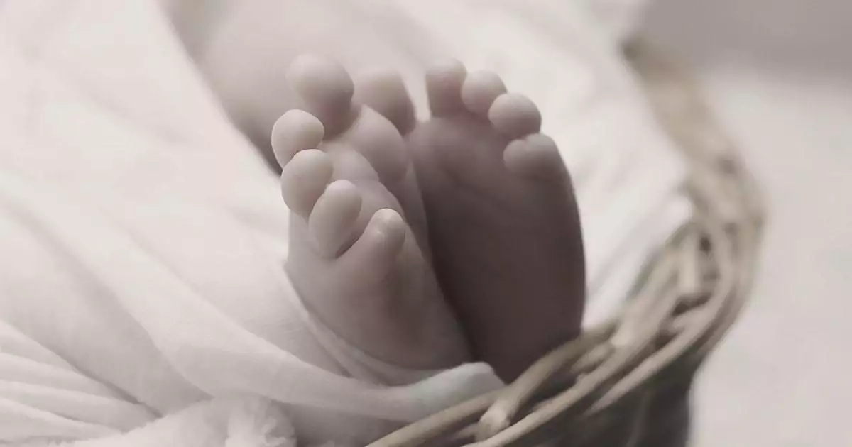 കൊച്ചിയില് മാലിന്യ കൂമ്പാരത്തില് നവജാത ശിശുവിന്റെ മൃതദേഹം