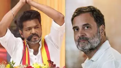 രാഹുല്‍ ഗാന്ധിയുടെ വോട്ടര്‍ അധികാര്‍ യാത്രയില്‍ വിജയ് പങ്കെടുത്തേക്കും; ടിവികെ-കോണ്‍ഗ്രസ് സഖ്യത്തിന് ശ്രമമെന്ന് റിപ്പോര്‍ട്ടുകള്‍