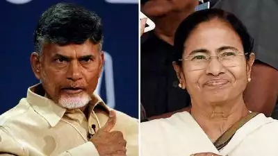 രാജ്യത്തെ ഏറ്റവും ആസ്‌തിയുള്ള മുഖ്യമന്ത്രി ചന്ദ്രബാബു നായിഡു; കുറവ് മമതാ ബാനർജിക്ക്, ആസ്തി കുറഞ്ഞവരിൽ പിണറായി വിജയനും