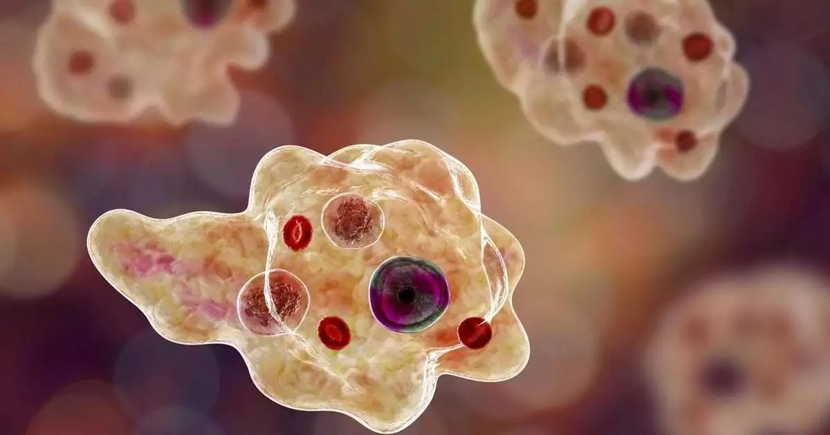 അമീബിക് മസ്തിഷ്കജ്വരം: സംസ്ഥാനത്ത് ഒരു മരണം കൂടി, ഈ മാസം മാത്രം മരിച്ചത് 11 പേർ