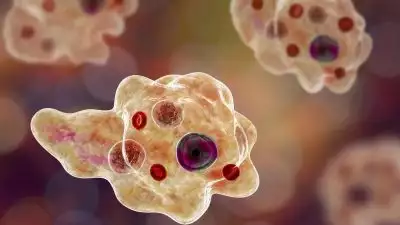 അമീബിക് മസ്തിഷ്‌കജ്വരം: സംസ്ഥാനത്ത് ഒരു മരണം കൂടി, ഈ മാസം മാത്രം മരിച്ചത് 11 പേർ