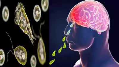 സംസ്ഥാനത്ത് ആശങ്കയായി അമീബിക് മസ്തിഷ്കജ്വരം; ഒരാൾക്ക് കൂടി രോഗം സ്ഥിരീകരിച്ചു