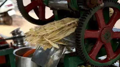 ക​രി​മ്പി​ൻ ജ്യൂ​സ് മെ​ഷീ​ൻ ക്ലീ​ൻ ചെ​യ്യു​ന്ന​തി​നി​ടെ ജീ​വ​ന​ക്കാ​ര​ന്‍റെ കൈ​പ്പ​ത്തി​യ​റ്റു