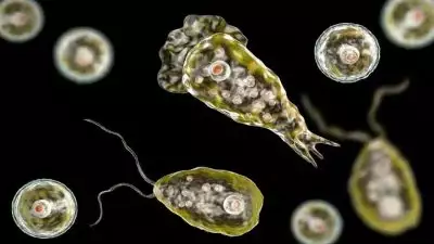 അമീബിക് മസ്തിഷ്ക ജ്വരം; സംസ്ഥാനത്ത് ഒരു മരണം കൂടി