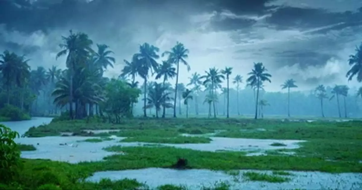 മഴ മുന്നറിയിപ്പിൽ മാറ്റം; നാല് ജില്ലകളിൽ ഓറഞ്ച് അലർട്ട്, അഞ്ച് ജില്ലകളിൽ യെല്ലോ അലർട്ട്