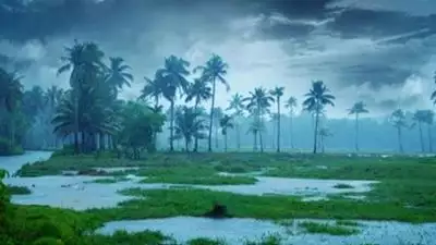 മഴ മുന്നറിയിപ്പിൽ മാറ്റം; നാല് ജില്ലകളിൽ ഓറഞ്ച് അലർട്ട്, അഞ്ച് ജില്ലകളിൽ യെല്ലോ അലർട്ട്