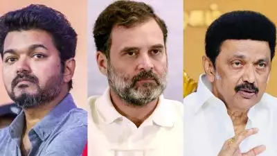 കരൂർ ദുരന്തം; വിജയ്‌യെയും സ്റ്റാലിനെയും ഫോണിൽ വിളിച്ച് രാഹുൽ ഗാന്ധി