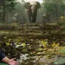 അംബാനിയുടെ വന്‍താരയില്‍ നടക്കുന്നതെന്ത്?