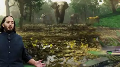 അംബാനിയുടെ വന്‍താരയില്‍ നടക്കുന്നതെന്ത്?