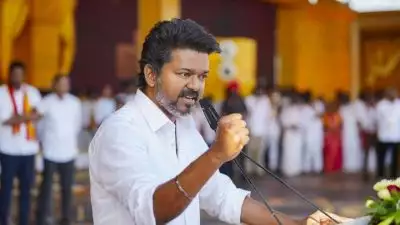 കരൂർ ദുരന്തം; വിജയ്‌ക്കെതിരെ കേസ് എടുക്കണമെന്നാവശ്യപ്പെട്ട് മദ്രാസ് ഹൈക്കോടതിയിൽ ഹർജി