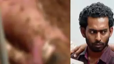 കോട്ടയത്ത് ഭാര്യയെ കൊന്ന് കുഴിച്ച് മൂടിയ സംഭവം; മൃതദേഹം കണ്ടെത്തി, കുഴിച്ചിട്ട സ്ഥലം കാണിച്ച് കൊടുത്ത് പ്രതി