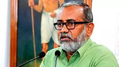 'കൊന്ന് തിന്നാൻ അനുവദിച്ചാൽ കൃഷിയിടത്തിലെ പന്നി ശല്യം വേഗത്തിൽ കുറയും'; കൃഷി മന്ത്രി പി പ്രസാദ്