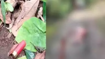 പാലക്കാട് രണ്ടുപേർ വെടിയേറ്റ് മരിച്ചു