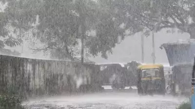 ചുഴലിക്കാറ്റിന് സാധ്യത, ഏഴ് ജില്ലകളില്‍ യെല്ലോ അലേര്‍ട്ട്; സംസ്ഥാനത്ത് ഇന്ന് മഴ കനക്കും
