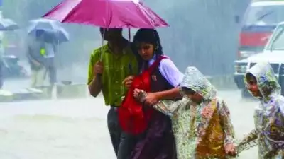 അതിതീവ്ര മഴയ്ക്ക് സാധ്യത, റെഡ് അലർട്ട്; പാലക്കാട് ജില്ലയിലും നാളെ പ്രൊഫഷണൽ കോളേജുകളടക്കമുള്ള വിദ്യാഭ്യാസ സ്ഥാപനങ്ങൾക്ക് അവധി