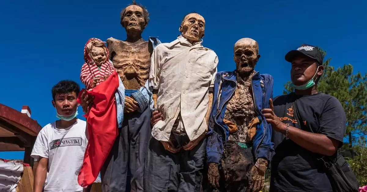 മരിച്ചവരെ തിരികെ കൊണ്ടുവരുന്ന ടൊരാജൻമാർ; എന്താണ് ഇന്തോനേഷ്യയിലെ 'ഡെഡ് ബോഡി' ഫെസ്റ്റിവൽ?