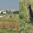 കോയമ്പത്തൂർ കൂട്ടബലാത്സംഗ കേസ്; മൂന്ന് പ്രതികളെയും വെടിവെച്ച് കീഴ്‌പ്പെടുത്തി പൊലീസ്