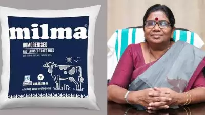 'സംസ്ഥാനത്ത് മിൽമ പാലിന് വില കൂടും, വർധനവ് തദ്ദേശ തിരഞ്ഞെടുപ്പിന് ശേഷം'; മന്ത്രി ജെ ചിഞ്ചുറാണി