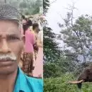 കടുവ സെന്‍സസിനിടെ കാട്ടാന ആക്രമണം; വനംവകുപ്പ് ജീവനക്കാരന്‍ കൊല്ലപ്പെട്ടു