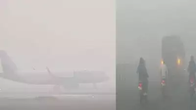 വായു മലിനീകരണത്തില്‍ വലഞ്ഞു ഡല്‍ഹി; എല്ലാ സര്‍ക്കാര്‍- സ്വകാര്യ സ്ഥാപനങ്ങളിലും 50% വര്‍ക്ക് ഫ്രം ഹോം, ലംഘിക്കുന്നവര്‍ക്ക് പിഴ