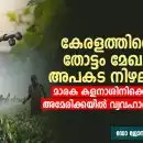 കേരളത്തിൻ്റെ തോട്ടം മേഖല അപകട നിഴലിൽ, മാരക കളനാശിനിക്കെതിരെ അമേരിക്കയിൽ വ്യവഹാര പ്രളയം