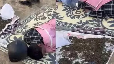 കോഴിക്കോട് ബീച്ചിൽ കഞ്ചാവ് ഉണക്കാനിട്ട് സമീപത്ത് കിടന്നുറങ്ങി; യുവാവ് അറസ്റ്റിൽ