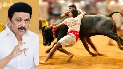 'ജെല്ലിക്കെട്ടിൽ വിജയിക്കുന്നവർക്ക് മൃഗസംരക്ഷണ വകുപ്പിൽ ജോലി'; അപ്രതീക്ഷിത പ്രഖ്യാപനവുമായി എം കെ സ്റ്റാലിൻ