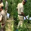 മലപ്പുറത്തെ 14കാരിയുടെ കൊലപാതകം, കുറ്റം സമ്മതിച്ച് പതിനാറുകാരൻ; കഴുത്ത് ഞെരിച്ച് കൊലപാതകം, ബലാത്സംഗം നടന്നതായും മൊഴി