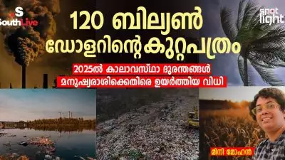 120 ബില്യൺ ഡോളറിന്റെ കുറ്റപത്രം: 2025ൽ കാലാവസ്ഥാ ദുരന്തങ്ങൾ മനുഷ്യരാശിക്കെതിരെ ഉയർത്തിയ വിധി