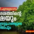 മാംഗ്രൂവ് പുനരുദ്ധാനം: തീരദേശത്തിന്റെ രക്ഷയും മനുഷ്യസമൂഹങ്ങളുടെ നിലനില്പും