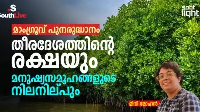 മാംഗ്രൂവ് പുനരുദ്ധാനം: തീരദേശത്തിന്റെ രക്ഷയും മനുഷ്യസമൂഹങ്ങളുടെ നിലനില്പും