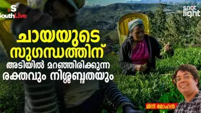 ചായയുടെ സുഗന്ധത്തിന് അടിയിൽ മറഞ്ഞിരിക്കുന്ന രക്തവും നിശ്ശബ്ദതയും