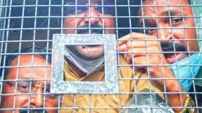 മുട്ടിൽ മരം മുറി കേസ്; പ്രതികള്‍ക്ക് തിരിച്ചടി, ഈട്ടിത്തടികള്‍ കണ്ടുകെട്ടിയ നടപടി വയനാട് ജില്ലാ കോടതി ശരിവച്ചു