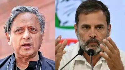 'കോണ്‍ഗ്രസ് മഹാപഞ്ചായത്തില്‍ അവഗണിച്ചു എന്നത് തരൂരിന്റെ മാത്രം തോന്നല്‍'; നേതാക്കളോട് രാഹുല്‍ ഗാന്ധി