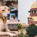 'അക്രമകാരികളായ തെരുവുനായകളെ ദയാവധം ചെയ്യാം'; മൃഗസ്‌നേഹികളുടെ അപേക്ഷ തള്ളി സുപ്രീം കോടതി