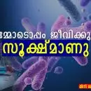 'നമ്മോടൊപ്പം ജീവിക്കുന്ന സൂക്ഷ്മാണു'; മിനി മോഹൻ