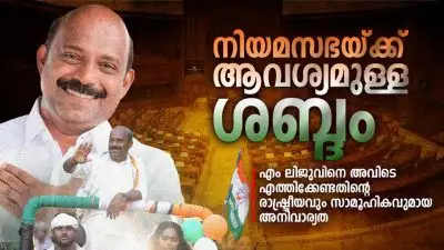 നിയമസഭയ്ക്ക് ആവശ്യമുള്ള ശബ്ദം: എം ലിജുവിനെ അവിടെ എത്തിക്കേണ്ടതിന്റെ രാഷ്ട്രീയവും സാമൂഹികവുമായ അനിവാര്യത