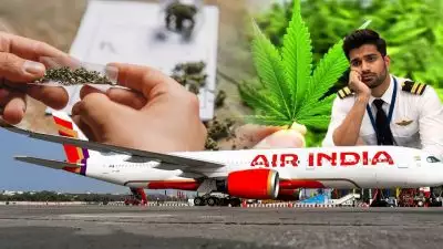 എയര്‍ ഇന്ത്യ പൈലറ്റിന്റെ കൈവശം കഞ്ചാവ് കണ്ടെത്തി, യുഎസ് അധികൃതര്‍ ഇന്ത്യയിലേക്ക് തിരിച്ചയച്ചു; അന്വേഷണം ആരംഭിച്ച് എയര്‍ ഇന്ത്യ