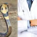 പാമ്പ് കടിയേറ്റുള്ള മരണങ്ങൾ വർധിക്കുന്നു; ആന്റിവെനം ലഭ്യത കുറവില്ല; ഡിഎംഒമാരുടെ യോഗം വിളിച്ച് ആരോഗ്യവകുപ്പ്