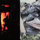 ലഹരി വാങ്ങാന്‍ പണം നൽകിയില്ല, ദമ്പതികളുടെ വാടകവീടിന് തീയിട്ട് സഹോദരീ പുത്രന്‍