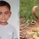 കാസര്‍കോട് പാമ്പ് കടിയേറ്റ് ചികിത്സയിലായിരുന്ന നാലര വയസുകാരി മരിച്ചു